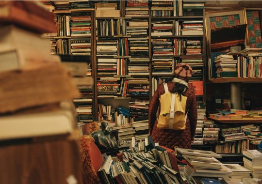 Exploring the world of classic literature